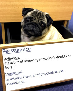 pug-word-of-the-day two