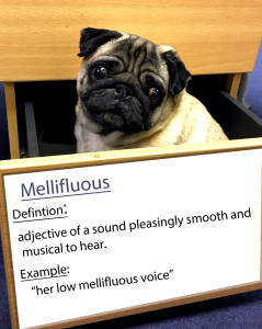 Word of the day 20.fw