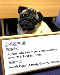 gluttonous.fw