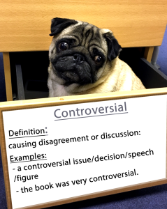 pug-word-of-the-day  13.fw