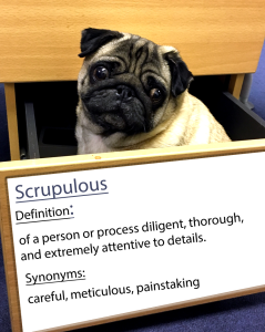 pug-word-of-the-day.21.fw