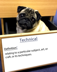 word of the day 15.fw