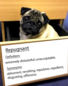 pug-word-of-the-day 26.fw