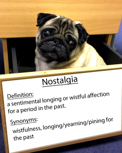 pug-word-of-the-day 32.fw