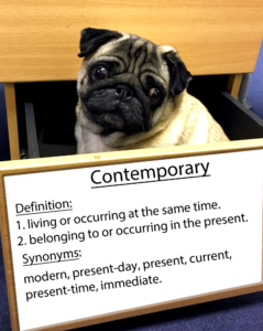 pug-word-of-the-day 38.fw