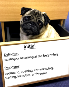pug-word-of-the-day 37.fw