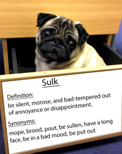 pug-word-of-the-day 37.fw